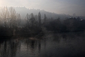 Nebbia 14_01_2011 - Il Po_12